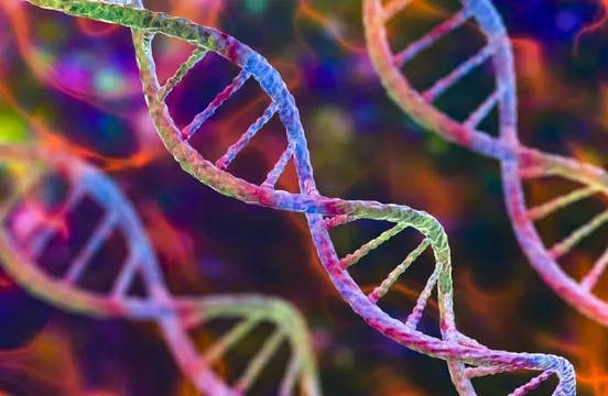 Fetal DNA Testi Nedir?