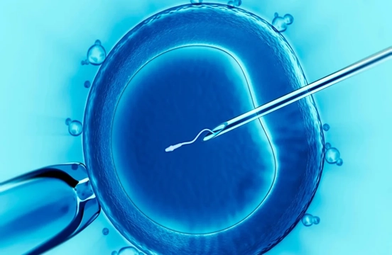 IVF Treatment in Turkey