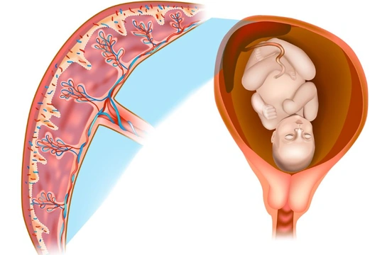 Plasental Yetmezlik Nedir?