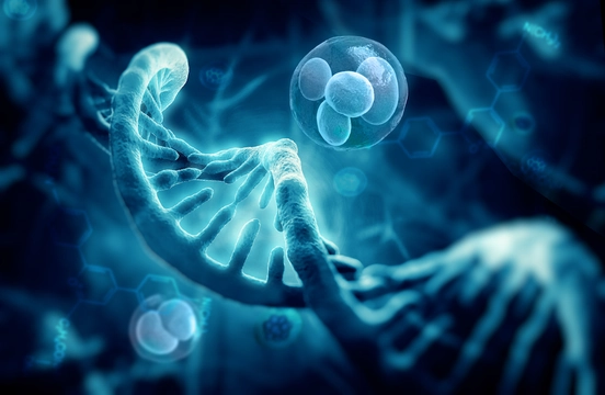 Preimplantasyon Genetik Tanı Ne Zaman Yapılır?