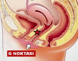 G Noktası Nedir?