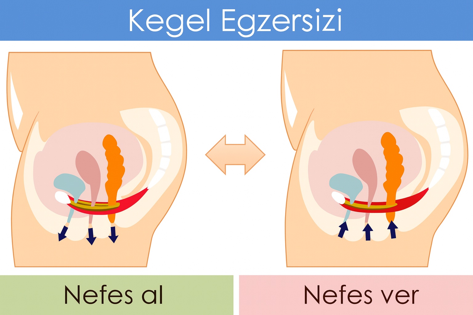 Kadınlarda Kegel Egzersizi Nasıl Yapılır?