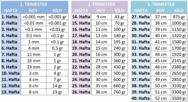 Gebelikte Bebek Boy Kilo Hesaplama