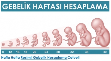 Gebelik Hesaplama Resimli